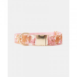 PNH002-956-XS